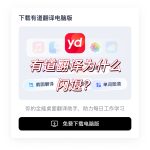 有道翻译为什么闪退？