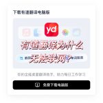 有道翻译为什么无法联网？