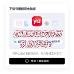 有道翻译支持团队协作吗？