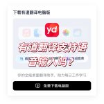 有道翻译支持语音输入吗？